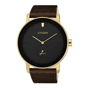 Citizen watch